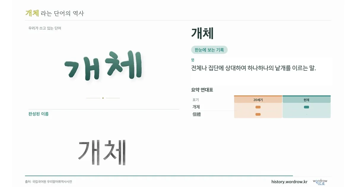 개체 대표 이미지