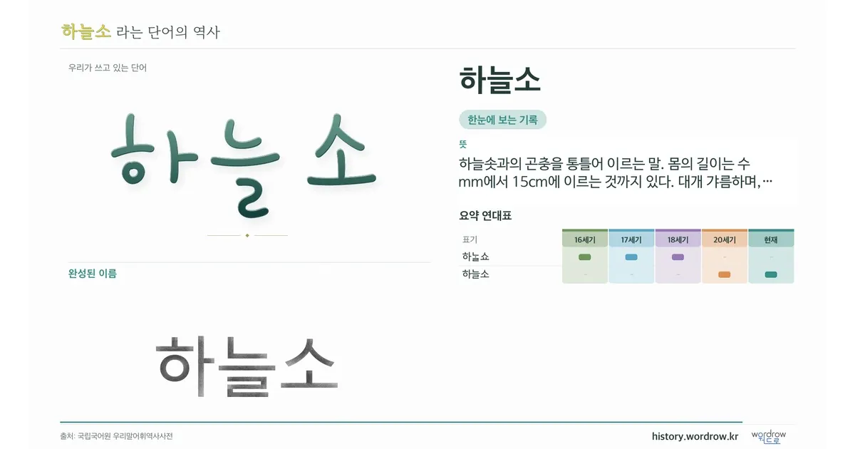 하늘소 대표 이미지