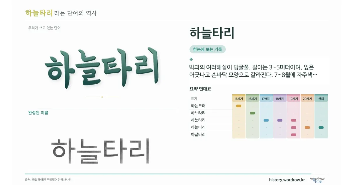 하늘타리 대표 이미지