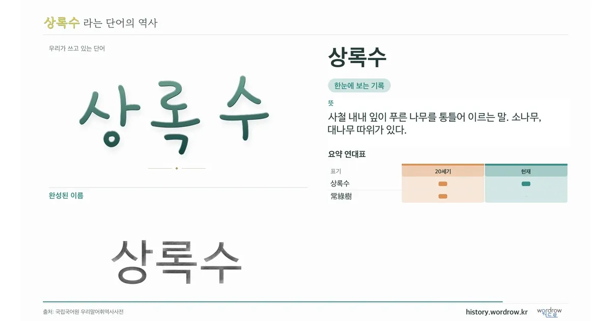 상록수 대표 이미지