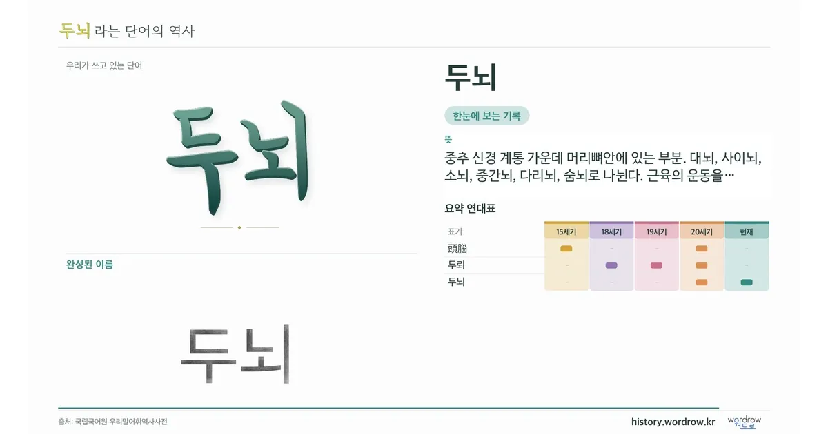 두뇌 대표 이미지