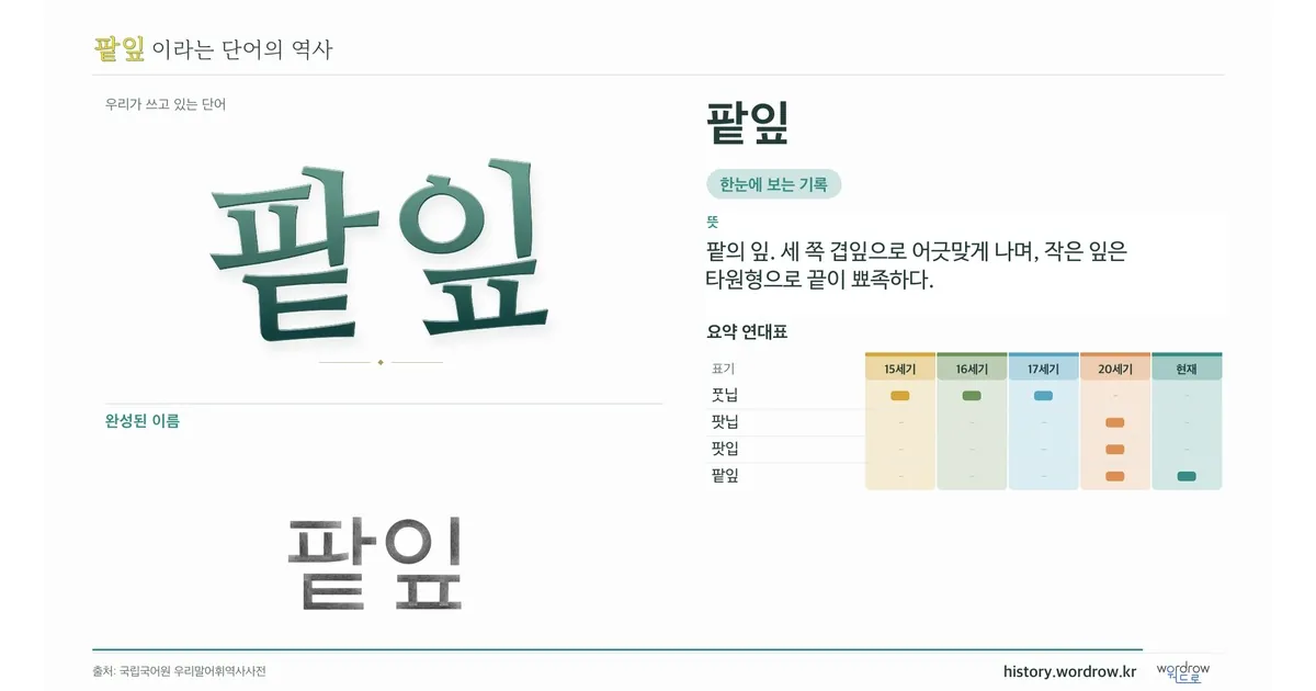 팥잎 대표 이미지