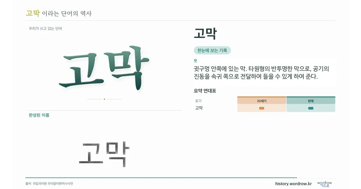 고막 대표 이미지