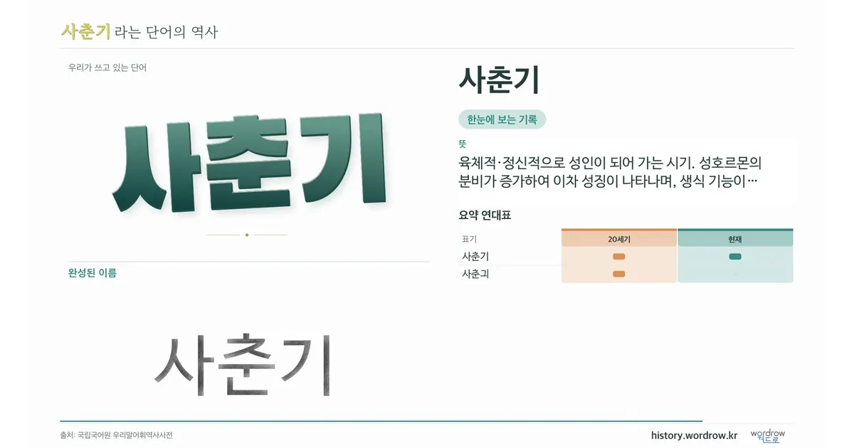 사춘기 대표 이미지