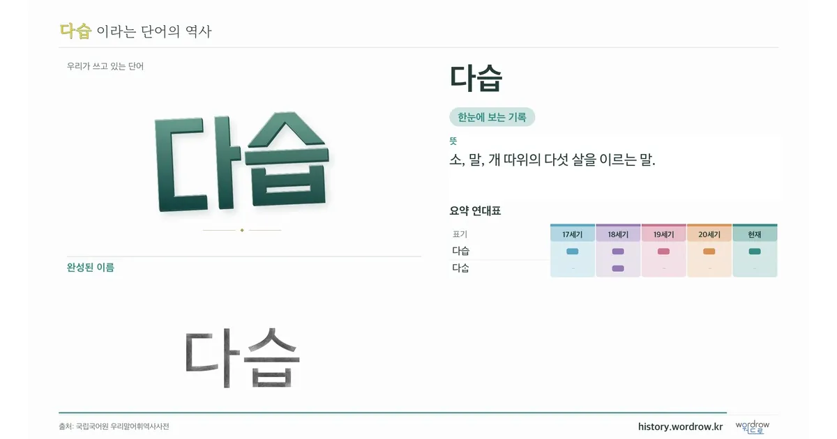 다습 대표 이미지