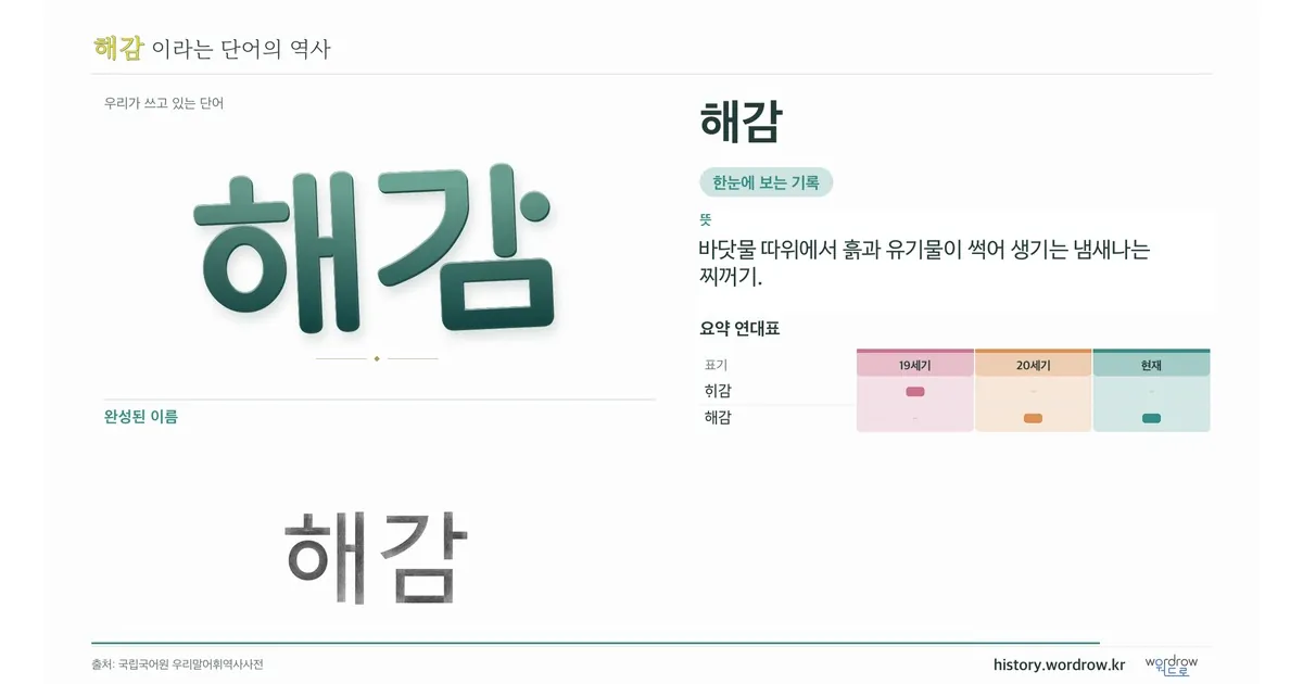 해감 대표 이미지