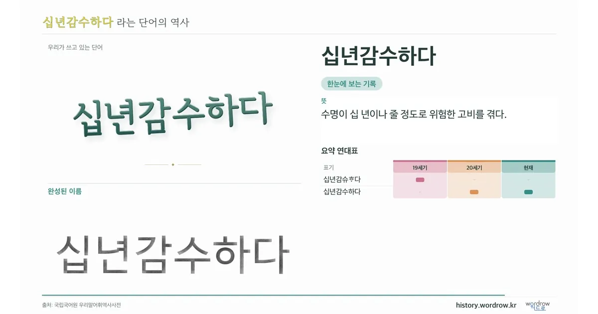 십년감수하다 대표 이미지