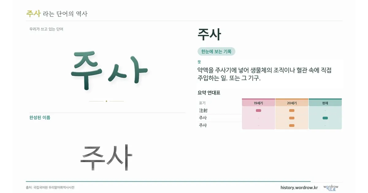 주사 대표 이미지