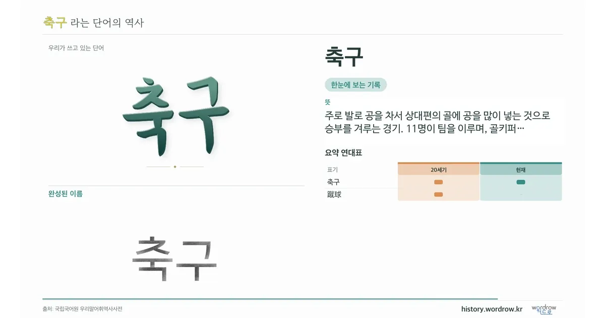 축구 대표 이미지