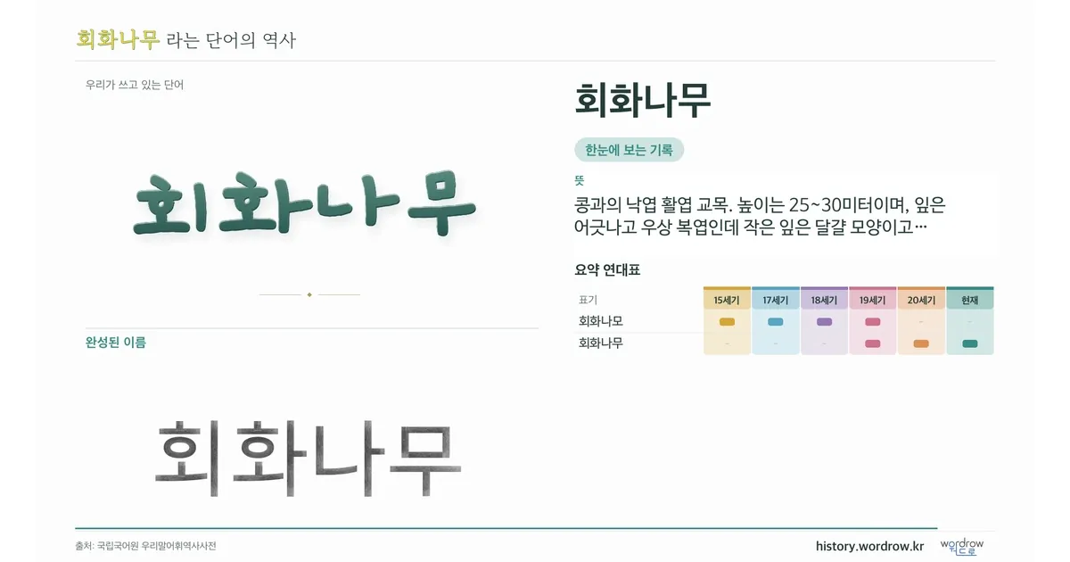 회화나무 대표 이미지