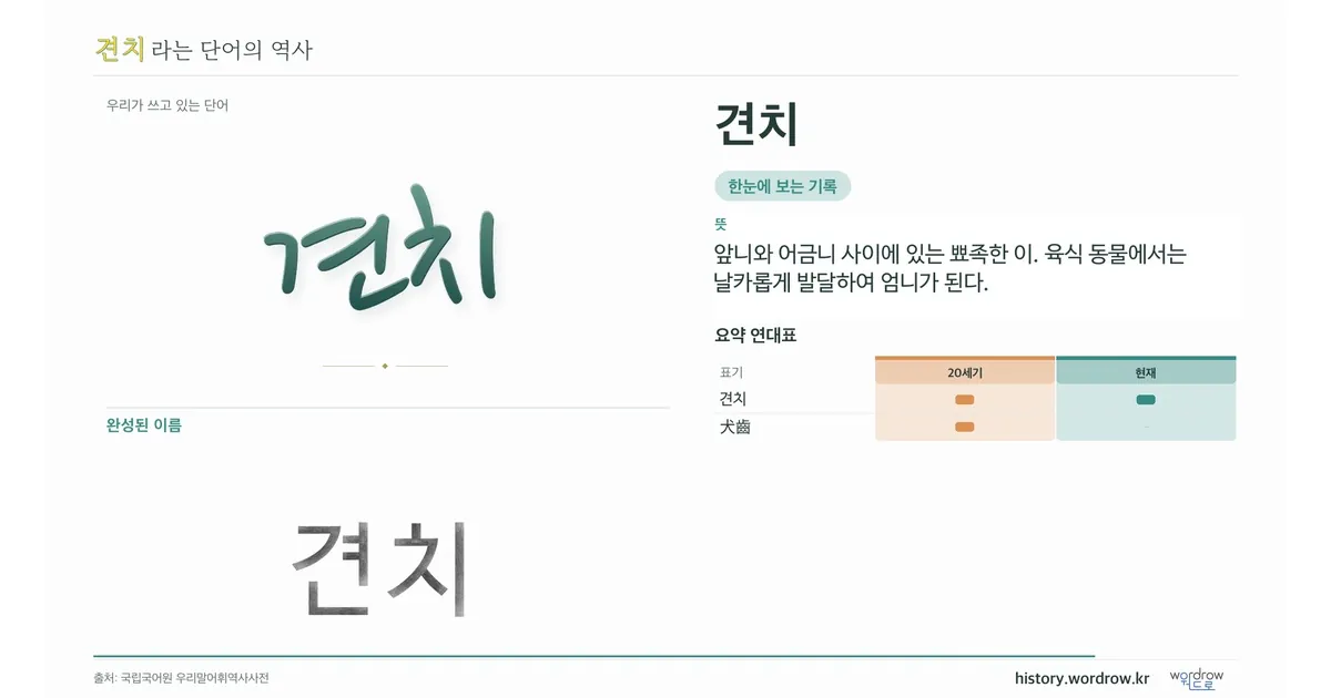 견치 대표 이미지