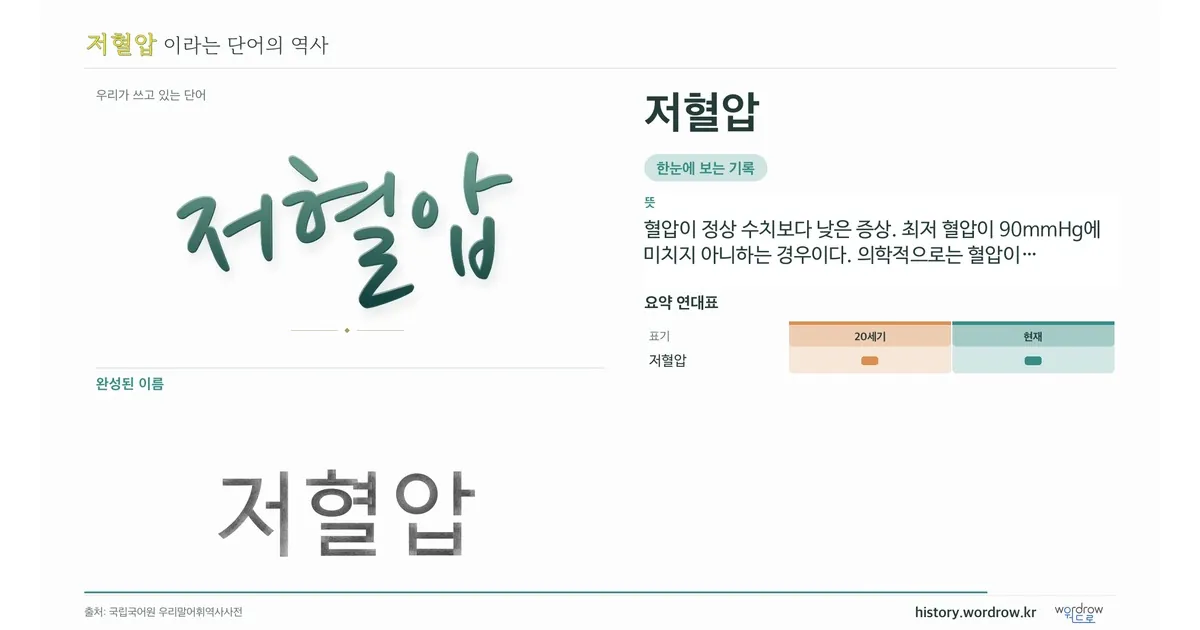 저혈압 대표 이미지