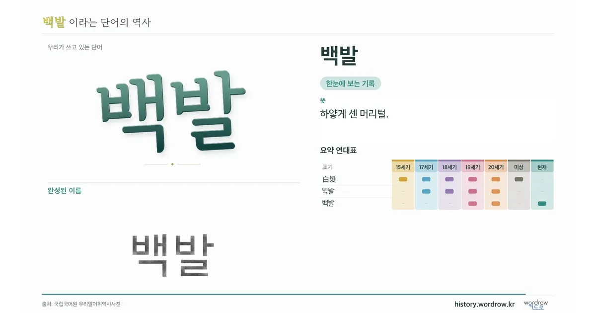 백발 대표 이미지