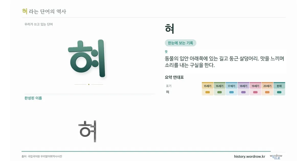 혀 대표 이미지
