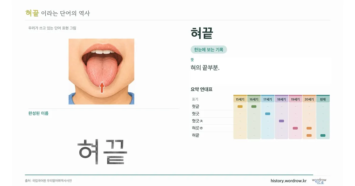 혀끝 대표 이미지