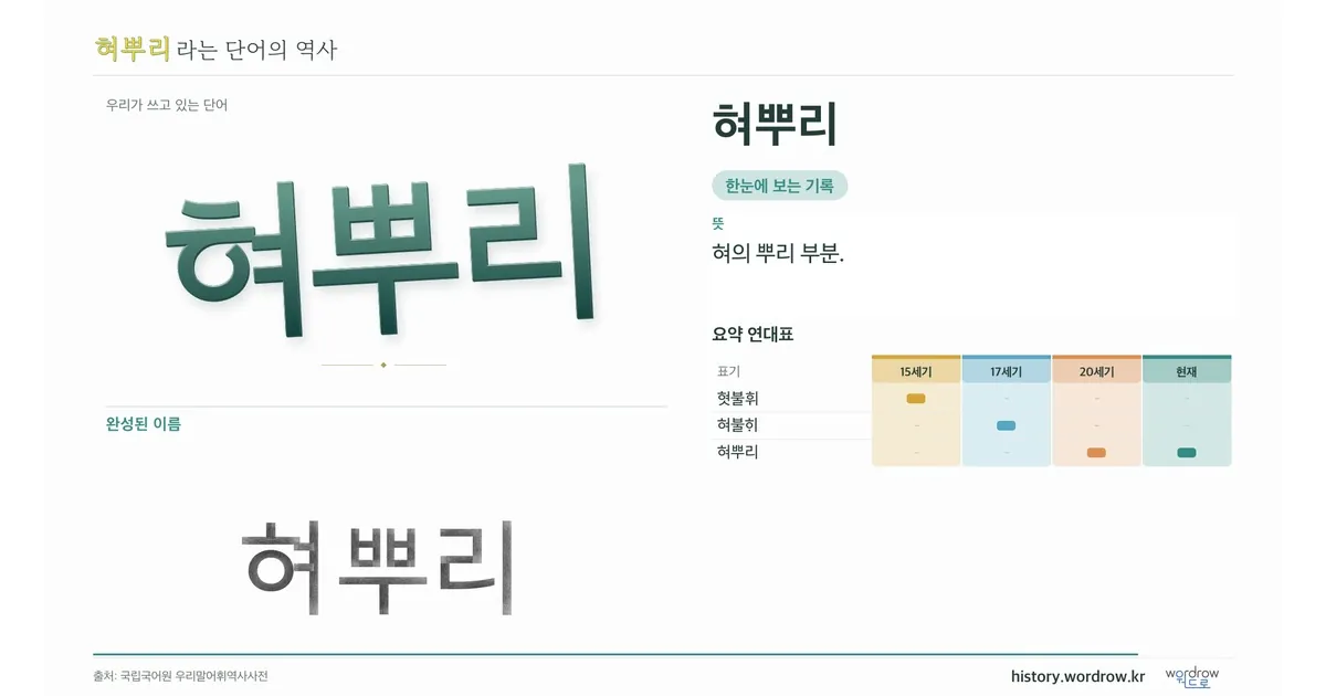 혀뿌리 대표 이미지