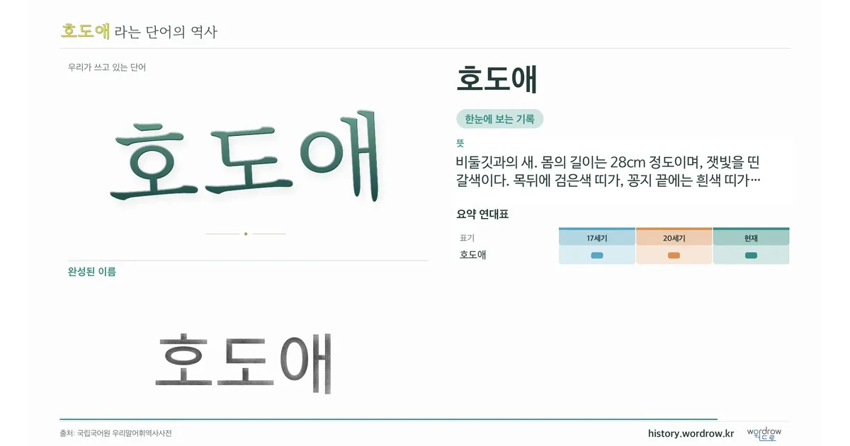 호도애 대표 이미지