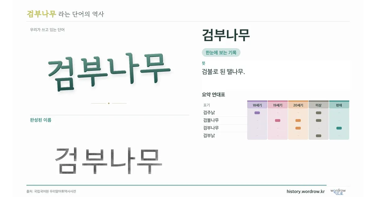 검부나무 대표 이미지