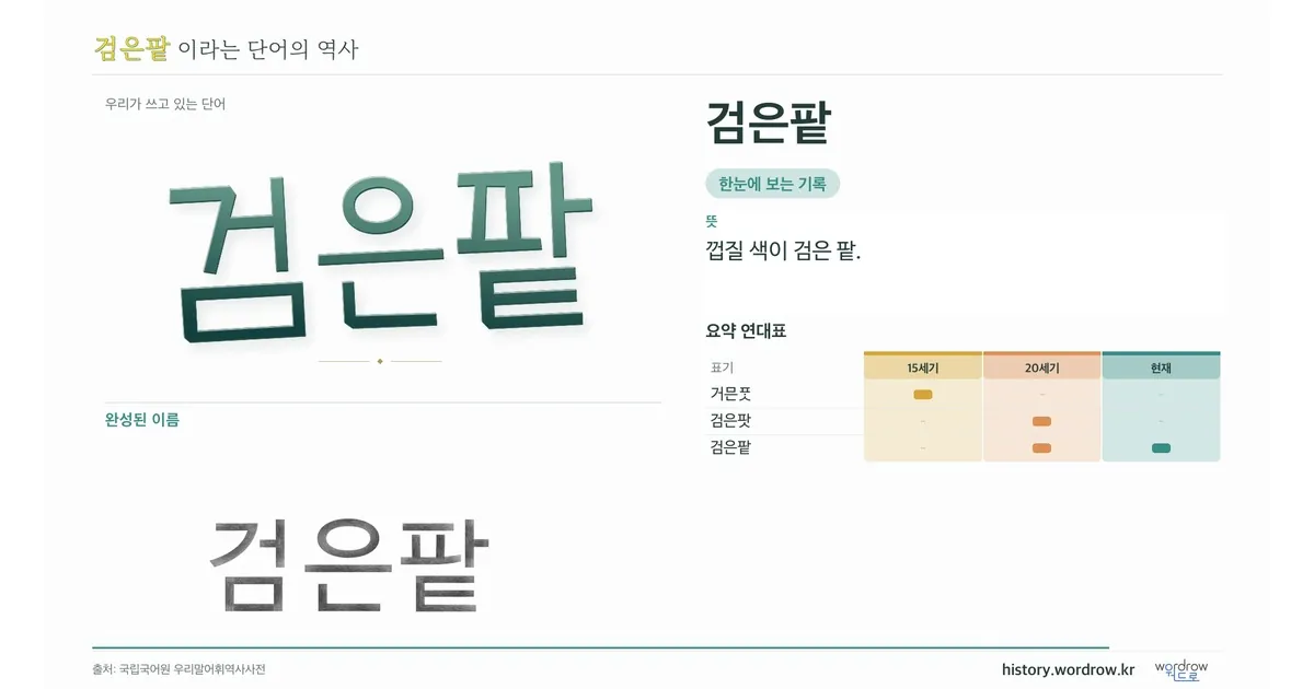 검은팥 대표 이미지
