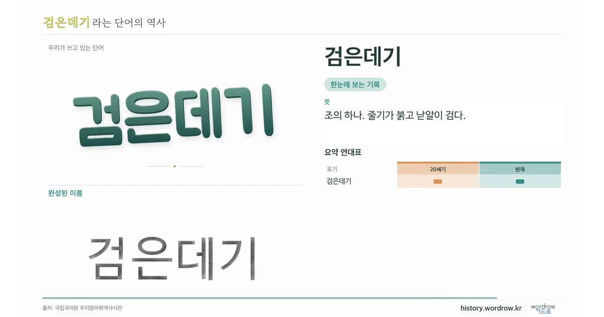 검은데기 대표 이미지