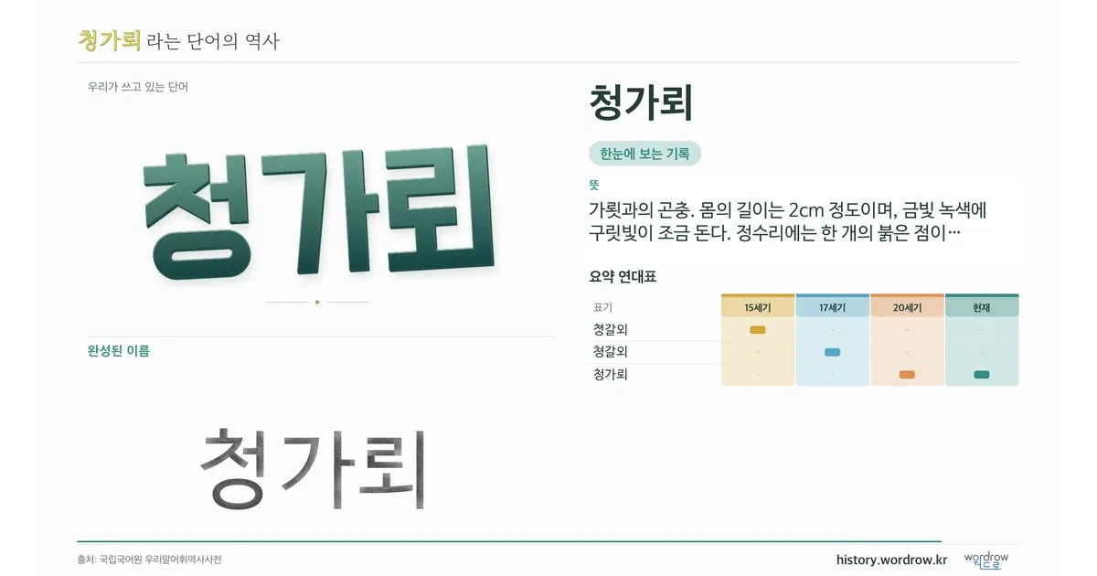 청가뢰 대표 이미지