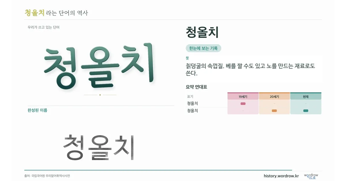 청올치 대표 이미지