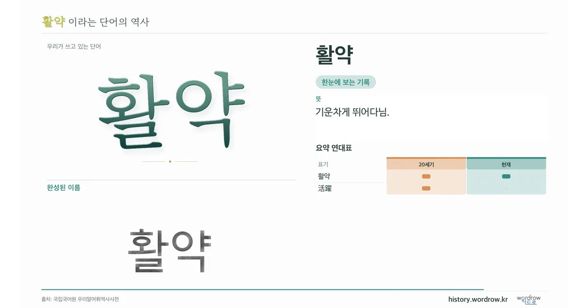 활약 대표 이미지