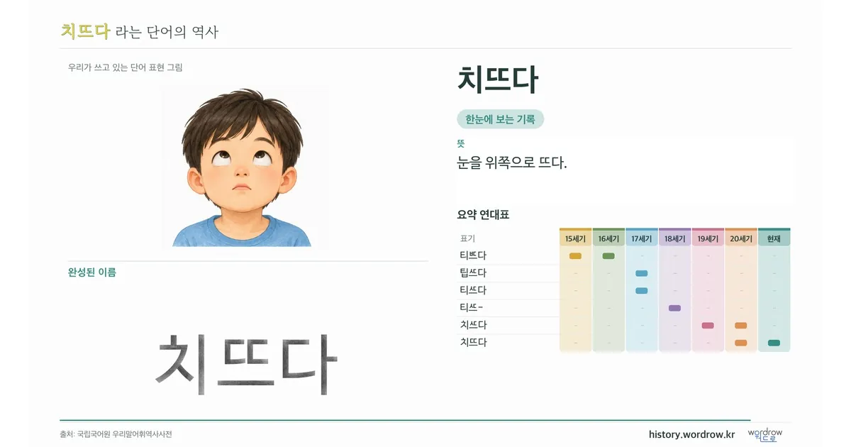 치뜨다 대표 이미지