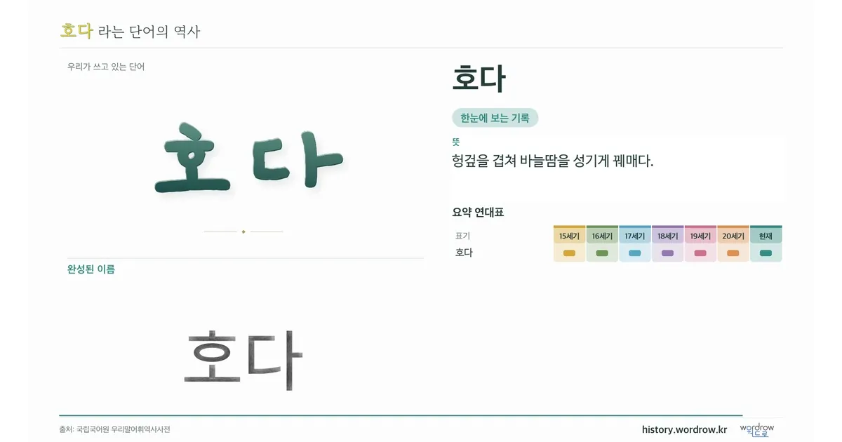 호다 대표 이미지