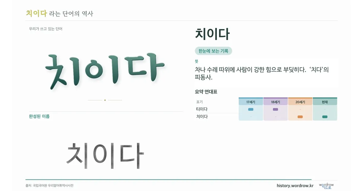 치이다 대표 이미지