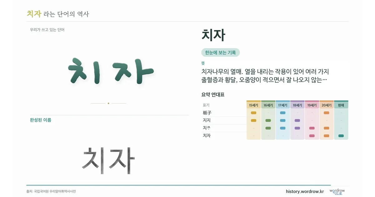 치자 대표 이미지