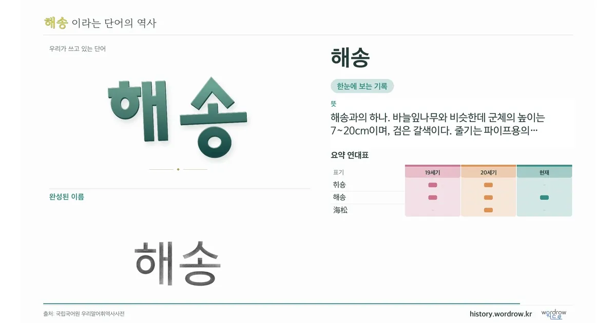 해송 대표 이미지