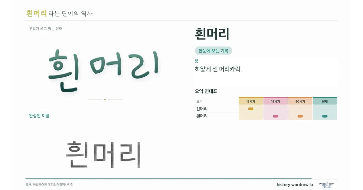 흰머리 대표 이미지