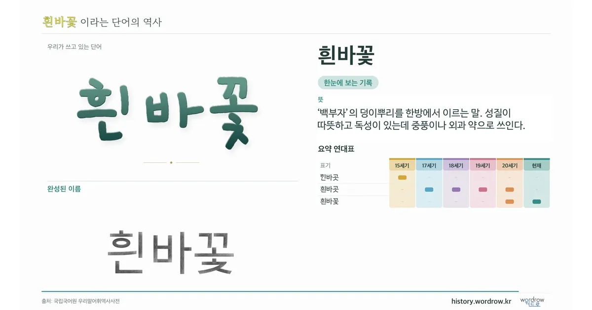 흰바꽃 대표 이미지