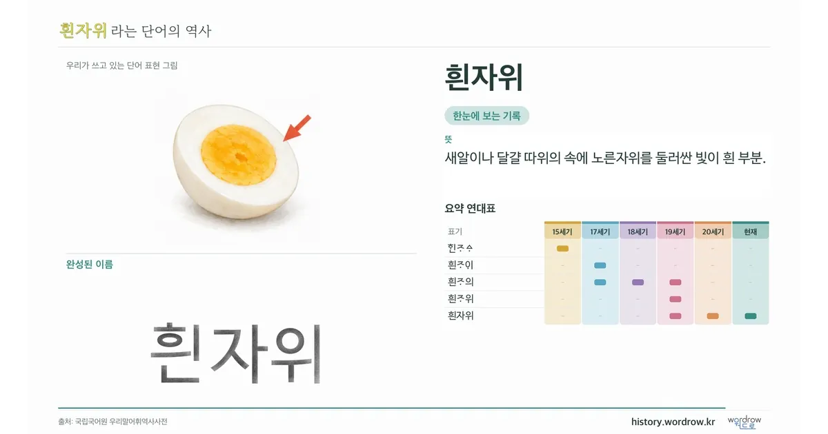 흰자위 대표 이미지