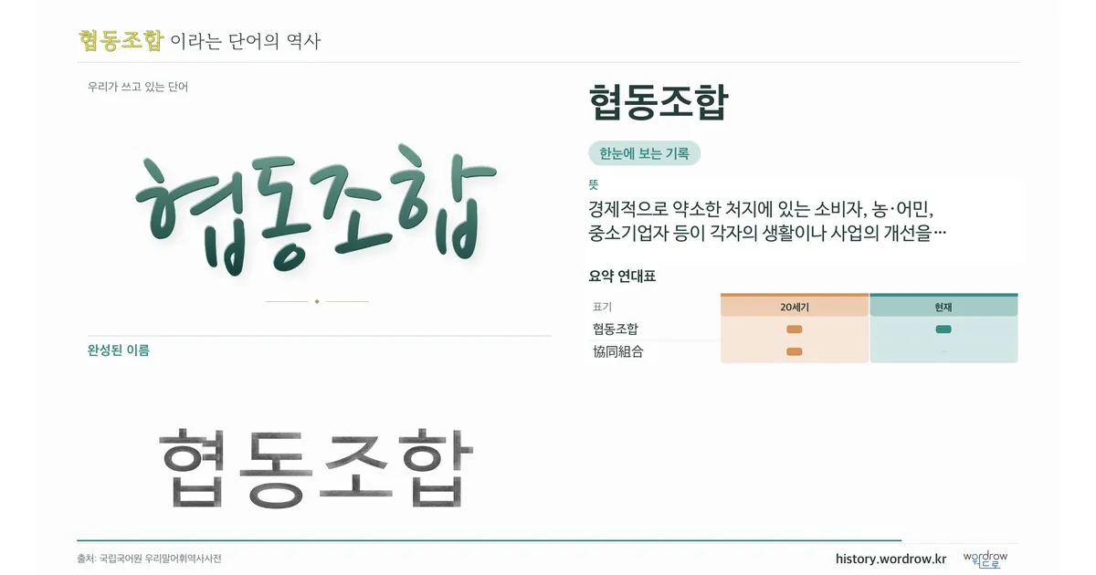 협동조합 대표 이미지
