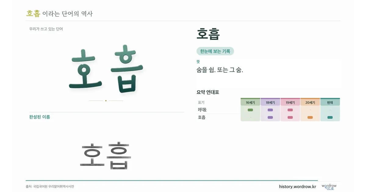 호흡 대표 이미지