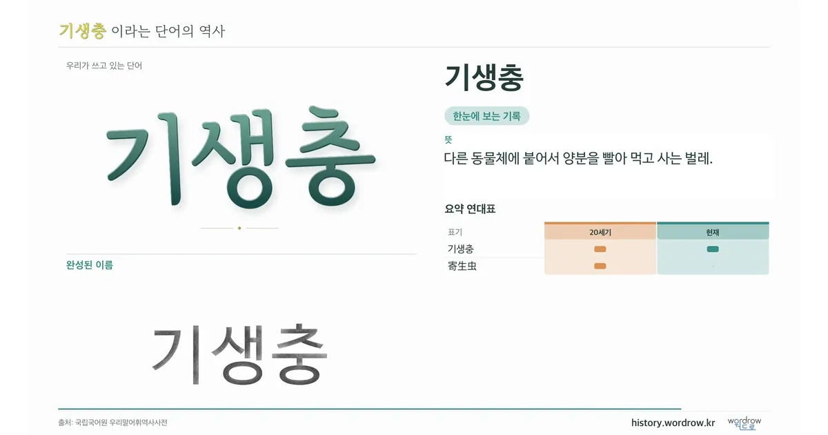 기생충 대표 이미지