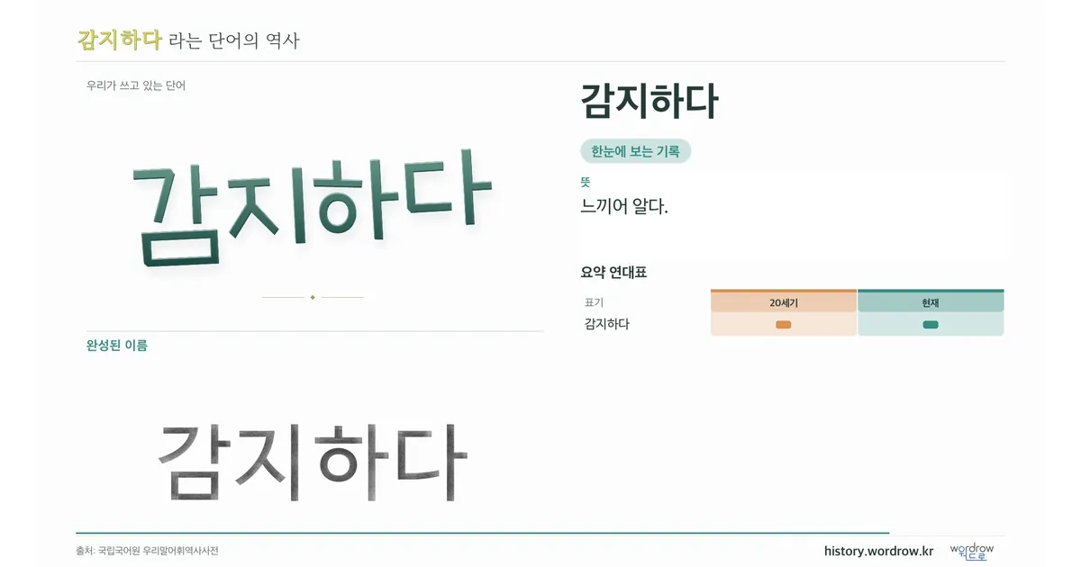 감지하다 대표 이미지