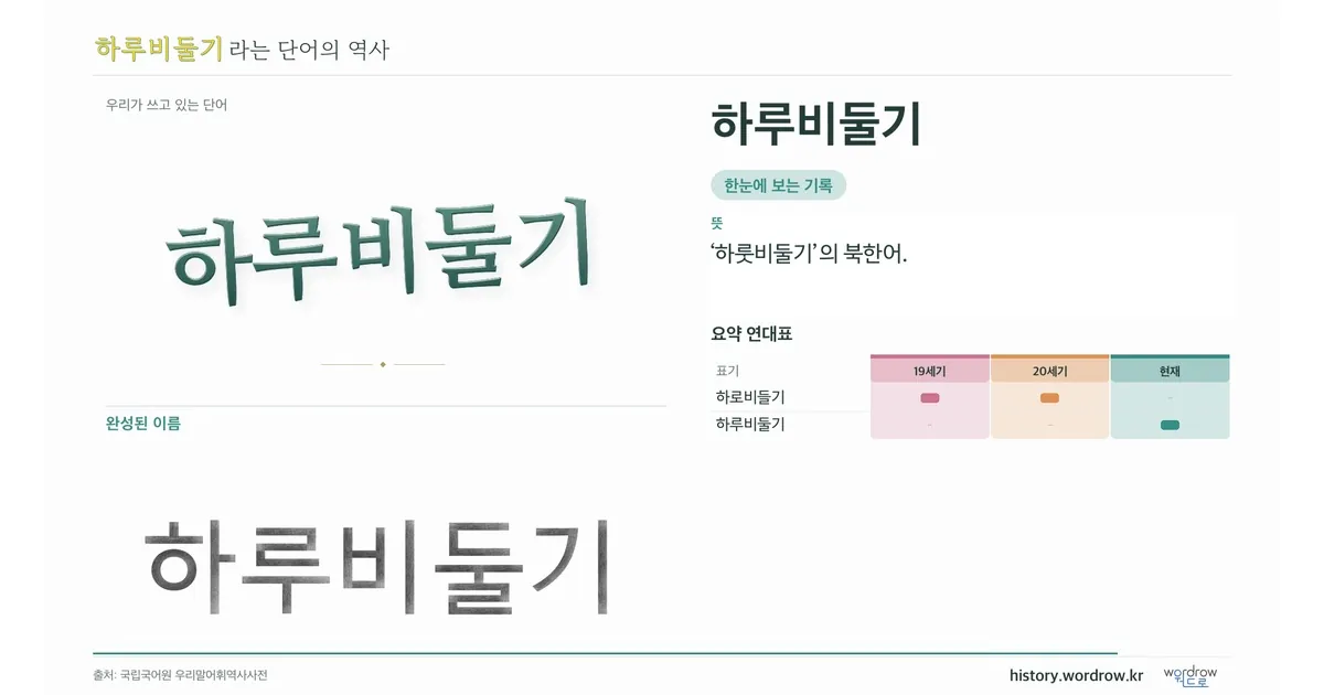 하루비둘기 대표 이미지