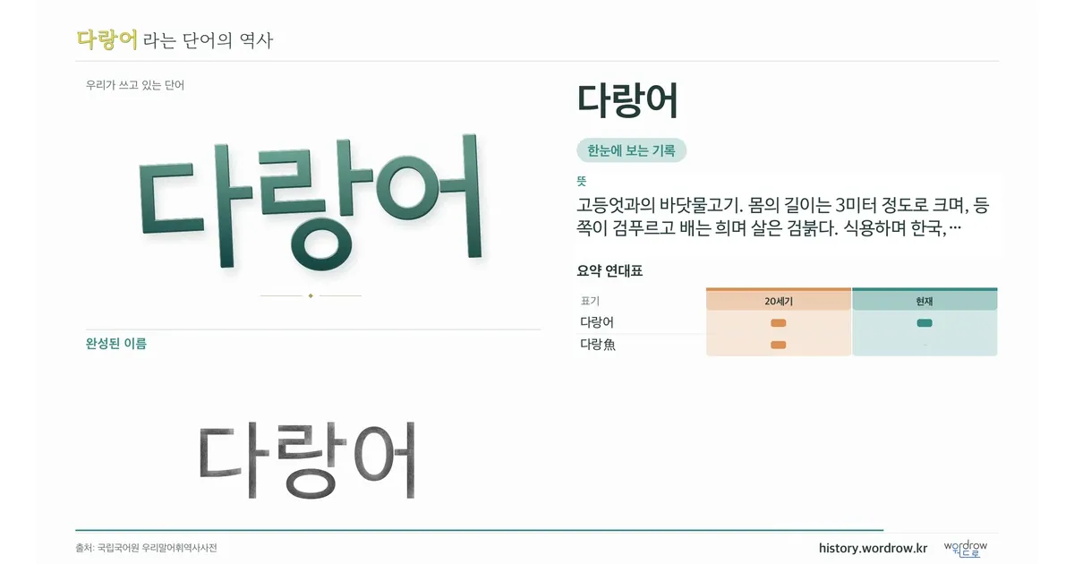 다랑어 대표 이미지
