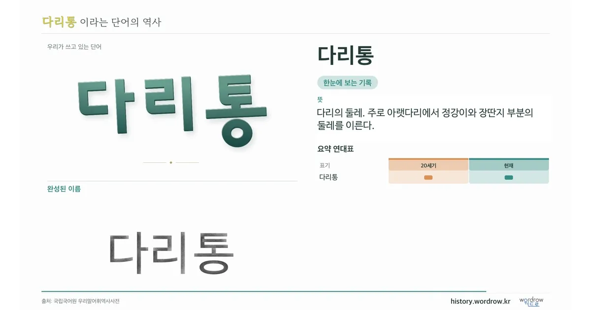 다리통 대표 이미지
