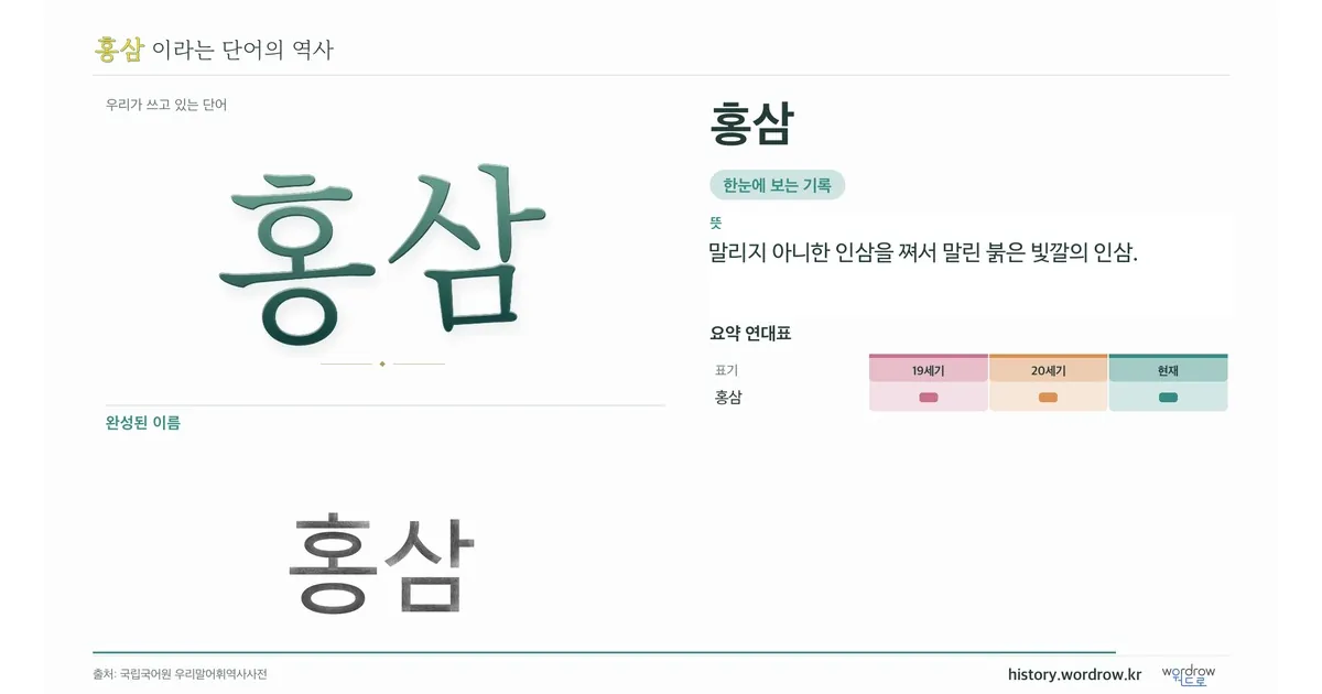 홍삼 대표 이미지