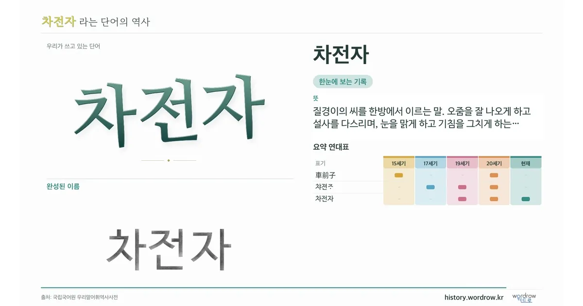 차전자 대표 이미지