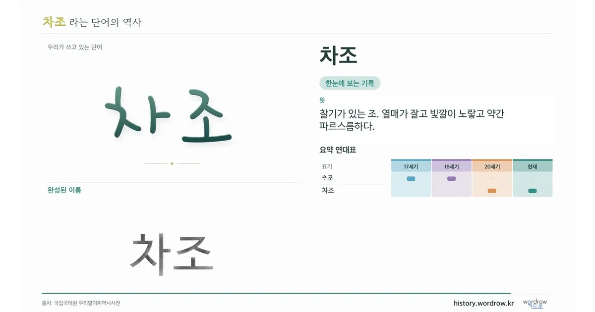 차조 대표 이미지