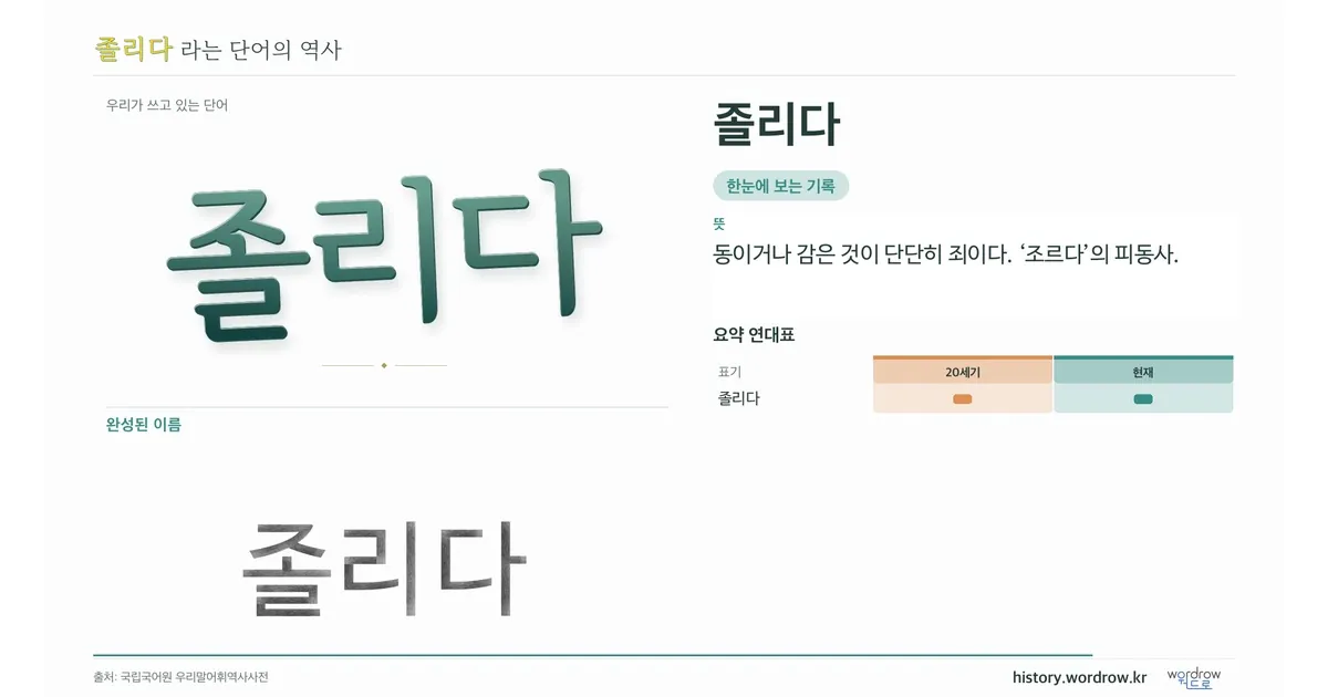 졸리다 대표 이미지