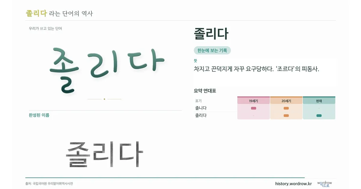 졸리다 대표 이미지