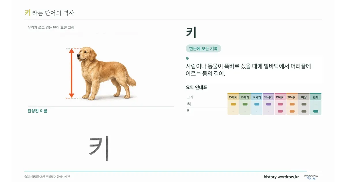 키 대표 이미지