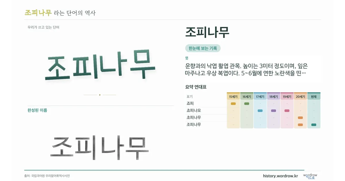 조피나무 대표 이미지