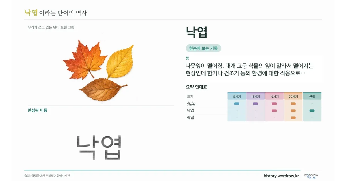 낙엽 대표 이미지